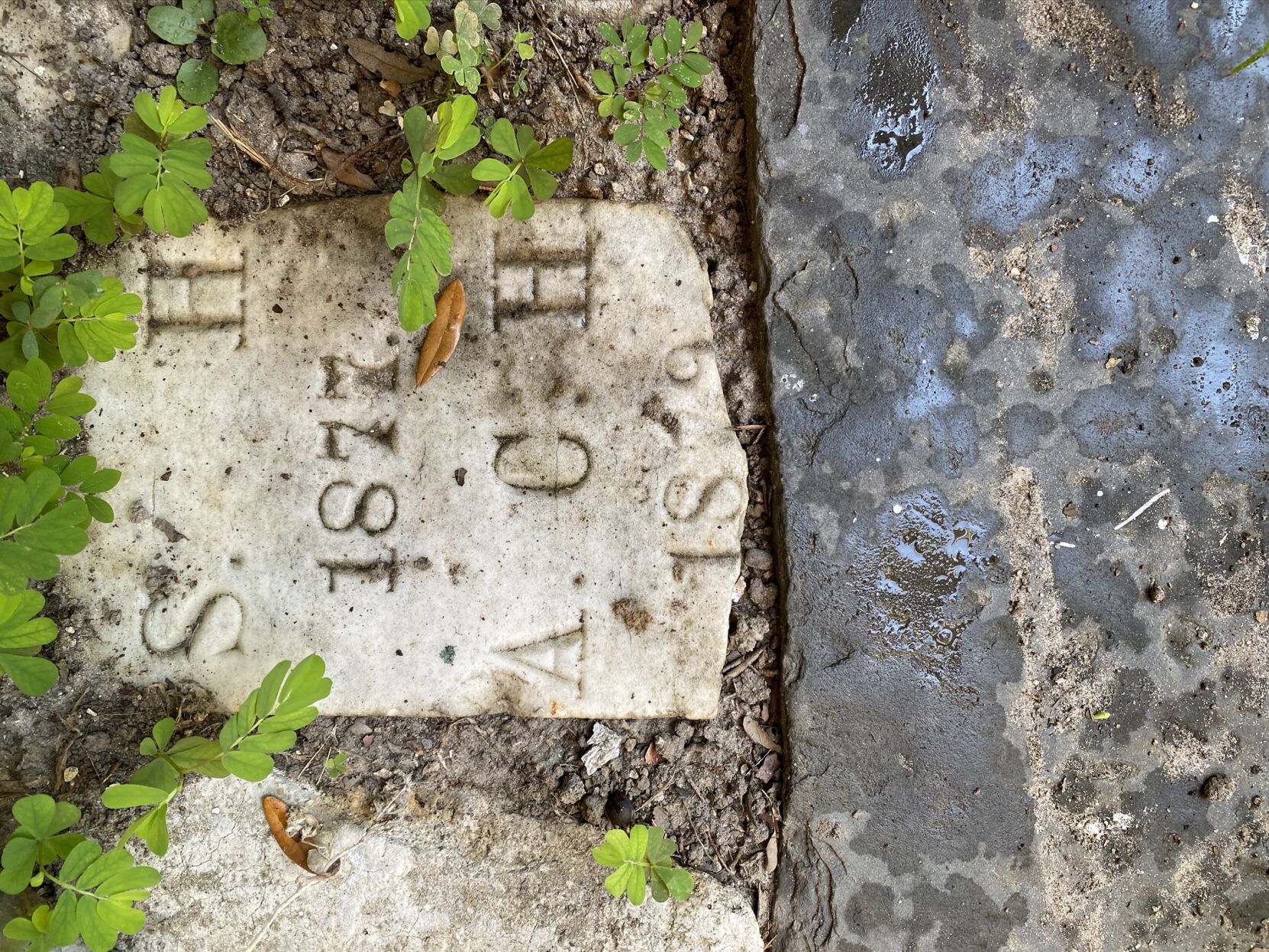 Trinity cemetery